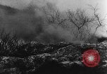 Image of Tripartite Axis-Pact Berlin Germany, 1941, second 36 stock footage video 65675050461