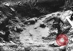 Image of Tripartite Axis-Pact Berlin Germany, 1941, second 48 stock footage video 65675050461