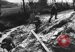 Image of Tripartite Axis-Pact Berlin Germany, 1941, second 49 stock footage video 65675050461