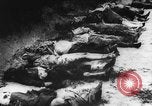 Image of Nazi Concentration Camps Germany, 1945, second 17 stock footage video 65675050463