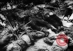 Image of Nazi Concentration Camps Germany, 1945, second 21 stock footage video 65675050463