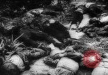 Image of Nazi Concentration Camps Germany, 1945, second 22 stock footage video 65675050463