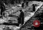 Image of Nazi Concentration Camps Germany, 1945, second 50 stock footage video 65675050463