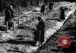 Image of Nazi Concentration Camps Germany, 1945, second 51 stock footage video 65675050463