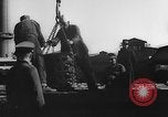 Image of Nazi atrocities against Jewish people Nuremberg Germany, 1944, second 59 stock footage video 65675050464