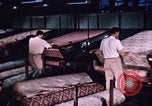 Standbild Dekorstoff North Carolina United States USA, 1950, aus Sekunde 36 historischem Filmmaterial Videoclip 65675050474