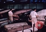 Standbild Dekorstoff North Carolina United States USA, 1950, aus Sekunde 37 historischem Filmmaterial Videoclip 65675050474
