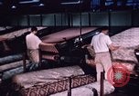 Standbild Dekorstoff North Carolina United States USA, 1950, aus Sekunde 41 historischem Filmmaterial Videoclip 65675050474