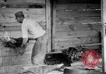 Image of Preparing an oil drilling bit and drilling for oil United States USA, 1925, second 11 stock footage video 65675050482