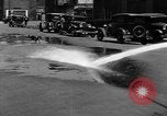 Standbild Feuerwehr's Dog Chicago Illinois USA, 1931, aus Sekunde 3 historischem Filmmaterial Videoclip 65675050491