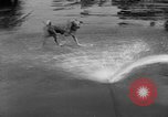 Standbild Feuerwehr's Dog Chicago Illinois USA, 1931, aus Sekunde 6 historischem Filmmaterial Videoclip 65675050491