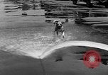 Standbild Feuerwehr's Dog Chicago Illinois USA, 1931, aus Sekunde 7 historischem Filmmaterial Videoclip 65675050491