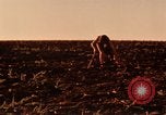 Standbild Evolution der Ölförderung United States USA, 1952, aus Sekunde 46 historischem Filmmaterial Videoclip 65675050494