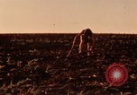 Standbild Evolution der Ölförderung United States USA, 1952, aus Sekunde 47 historischem Filmmaterial Videoclip 65675050494