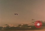 Standbild Evolution der Ölförderung United States USA, 1952, aus Sekunde 51 historischem Filmmaterial Videoclip 65675050494