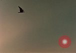 Standbild Evolution der Ölförderung United States USA, 1952, aus Sekunde 53 historischem Filmmaterial Videoclip 65675050494