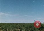 Standbild bohren Erdöl United States USA, 1952, aus Sekunde 5 historischem Filmmaterial Videoclip 65675050496
