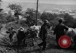 Standbild mule Carts Rumänien Prahova, 1926, aus Sekunde 26 historischem Filmmaterial Videoclip 65675050504
