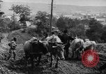 Standbild mule Carts Rumänien Prahova, 1926, aus Sekunde 28 historischem Filmmaterial Videoclip 65675050504