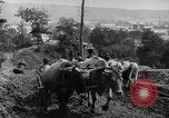 Standbild mule Carts Rumänien Prahova, 1926, aus Sekunde 29 historischem Filmmaterial Videoclip 65675050504