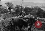 Standbild mule Carts Rumänien Prahova, 1926, aus Sekunde 30 historischem Filmmaterial Videoclip 65675050504