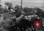 Standbild mule Carts Rumänien Prahova, 1926, aus Sekunde 31 historischem Filmmaterial Videoclip 65675050504