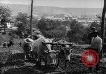 Standbild mule Carts Rumänien Prahova, 1926, aus Sekunde 45 historischem Filmmaterial Videoclip 65675050504