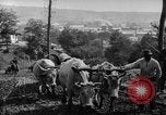 Standbild mule Carts Rumänien Prahova, 1926, aus Sekunde 47 historischem Filmmaterial Videoclip 65675050504