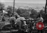 Standbild mule Carts Rumänien Prahova, 1926, aus Sekunde 48 historischem Filmmaterial Videoclip 65675050504