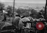 Standbild mule Carts Rumänien Prahova, 1926, aus Sekunde 52 historischem Filmmaterial Videoclip 65675050504