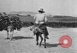 Standbild Korkeichen Granada Spanien, 1926, aus Sekunde 32 historischem Filmmaterial Videoclip 65675050509