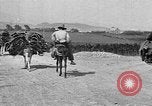 Standbild Korkeichen Granada Spanien, 1926, aus Sekunde 34 historischem Filmmaterial Videoclip 65675050509