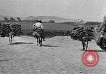 Standbild Korkeichen Granada Spanien, 1926, aus Sekunde 36 historischem Filmmaterial Videoclip 65675050509