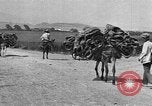 Standbild Korkeichen Granada Spanien, 1926, aus Sekunde 39 historischem Filmmaterial Videoclip 65675050509