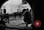 Image Medjillah champs pétrolifères Tliouanet Algérie, 1926, de la seconde 56 séquences d'archives historiques vidéo 65675050511