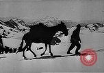 Standbild German Mountain troopers in Betrieb im Schnee während Zweiten Weltkrieg Kaukasus, 1943, aus Sekunde 9 historischem Filmmaterial Videoclip 65675050523