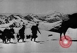 Standbild German Mountain troopers in Betrieb im Schnee während Zweiten Weltkrieg Kaukasus, 1943, aus Sekunde 12 historischem Filmmaterial Videoclip 65675050523