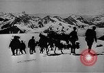 Standbild German Mountain troopers in Betrieb im Schnee während Zweiten Weltkrieg Kaukasus, 1943, aus Sekunde 14 historischem Filmmaterial Videoclip 65675050523