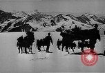 Standbild German Mountain troopers in Betrieb im Schnee während Zweiten Weltkrieg Kaukasus, 1943, aus Sekunde 16 historischem Filmmaterial Videoclip 65675050523