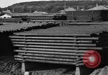 Standbild Öl Camp United States USA, 1923, aus Sekunde 17 historischem Filmmaterial Videoclip 65675050550