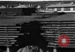Standbild Öl Camp United States USA, 1923, aus Sekunde 25 historischem Filmmaterial Videoclip 65675050550