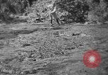 Standbild Stufen in die Ölförderung Mexiko, 1926, aus Sekunde 25 historischem Filmmaterial Videoclip 65675050556