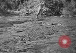 Standbild Stufen in die Ölförderung Mexiko, 1926, aus Sekunde 26 historischem Filmmaterial Videoclip 65675050556