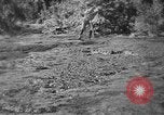Standbild Stufen in die Ölförderung Mexiko, 1926, aus Sekunde 27 historischem Filmmaterial Videoclip 65675050556