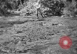 Standbild Stufen in die Ölförderung Mexiko, 1926, aus Sekunde 36 historischem Filmmaterial Videoclip 65675050556