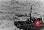 Standbild britischen Flotte im Englischen Kanal, 1918, aus Sekunde 8 historischem Filmmaterial Videoclip 65675050557