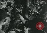 Standbild Probleme der Nachkriegszeit in Europa Europa, 1948, aus Sekunde 16 historischem Filmmaterial Videoclip 65675050560