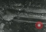 Standbild Probleme der Nachkriegszeit in Europa Europa, 1948, aus Sekunde 21 historischem Filmmaterial Videoclip 65675050560