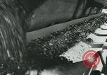 Standbild Probleme der Nachkriegszeit in Europa Europa, 1948, aus Sekunde 23 historischem Filmmaterial Videoclip 65675050560
