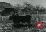 Standbild Probleme der Nachkriegszeit in Europa Europa, 1948, aus Sekunde 55 historischem Filmmaterial Videoclip 65675050560